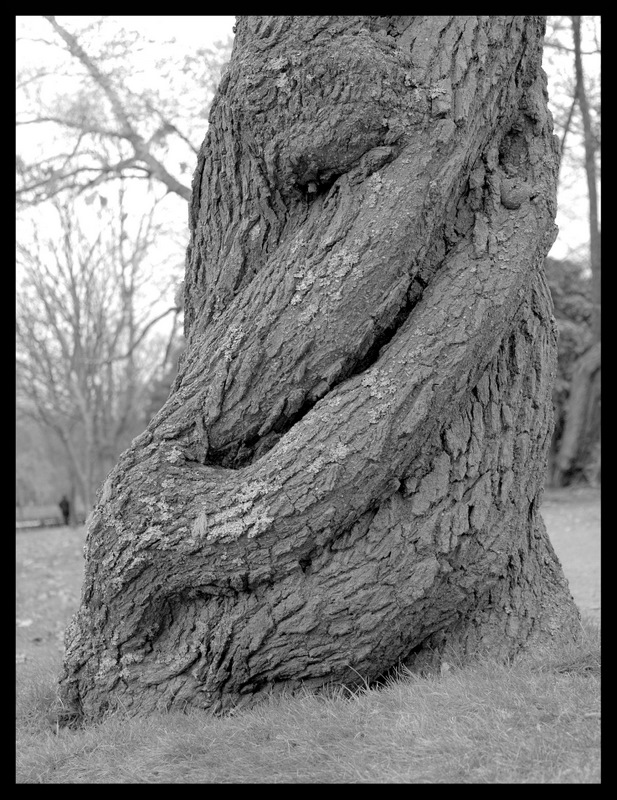 Name:  IMG_5462.CR2.jpg
Views: 548
Size:  219.2 KB