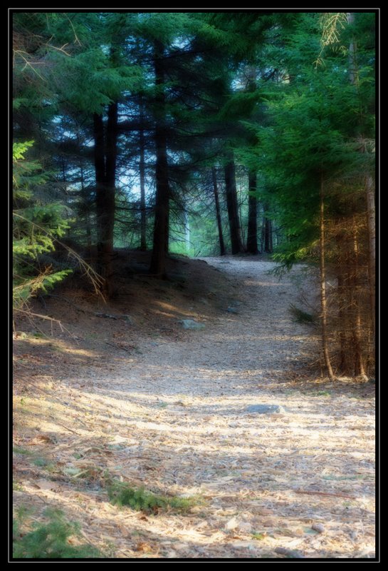 Name:  IMG_6634.edited.CR2.jpg
Views: 375
Size:  123.2 KB