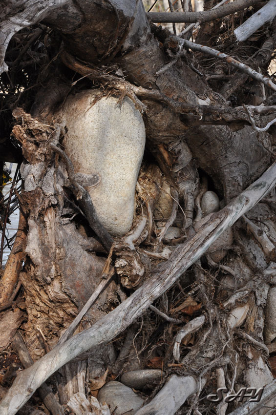Name:  Rocks 3.jpg
Views: 348
Size:  193.1 KB