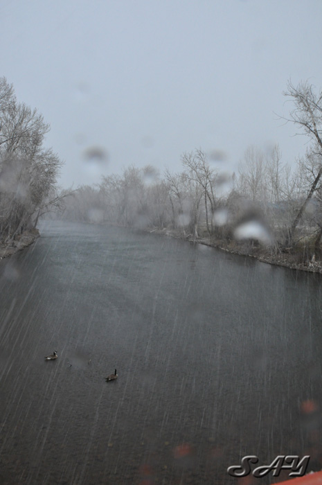 Name:  Sleet 3.jpg
Views: 340
Size:  91.9 KB