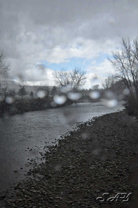 Name:  Sleet 5.jpg
Views: 358
Size:  136.8 KB