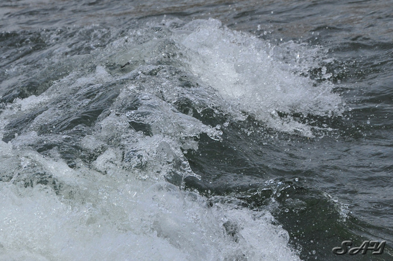 Name:  Water 13.jpg
Views: 294
Size:  227.2 KB