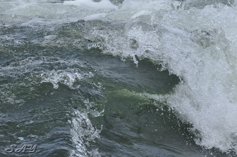 Name:  Water 36.jpg
Views: 276
Size:  225.4 KB