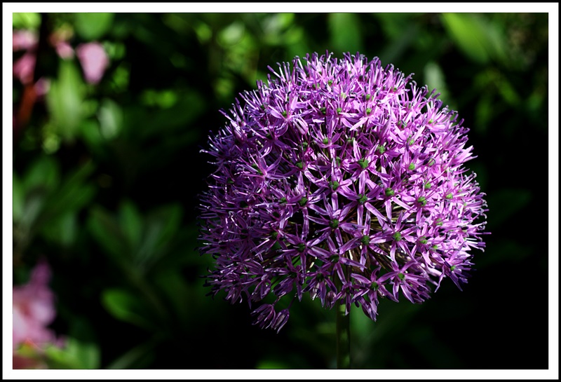 Name:  IMG_8779_edited.jpg
Views: 460
Size:  163.4 KB