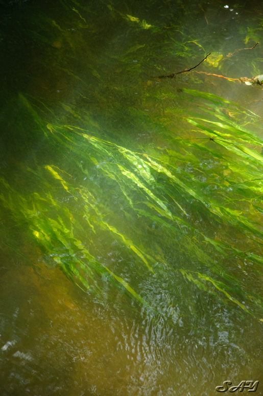 Name:  Water 2.jpg
Views: 420
Size:  188.7 KB