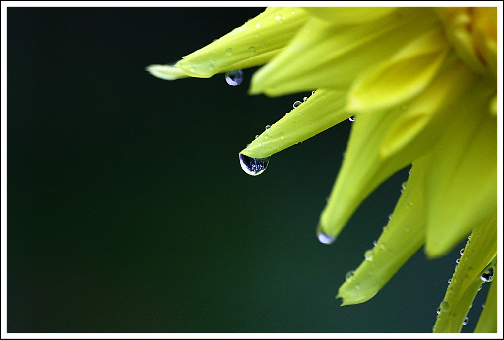 Name:  IMG_1465_edited.jpg
Views: 899
Size:  184.2 KB