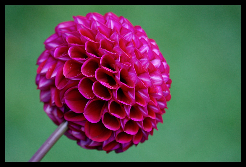 Name:  IMG_1531_edited.jpg
Views: 522
Size:  185.1 KB