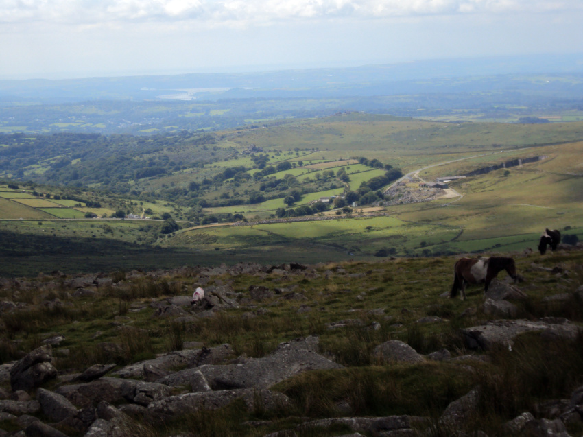 Name:  View from Great Mis Tor.jpg
Views: 425
Size:  239.5 KB