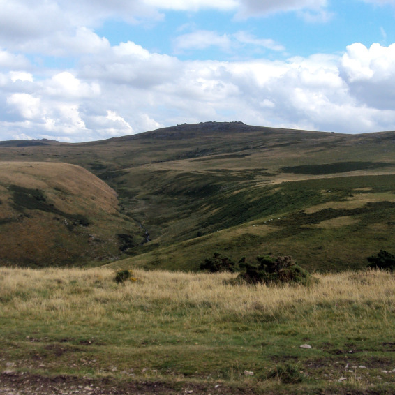 Name:  Dartmoor valley crop.jpg
Views: 159
Size:  231.5 KB