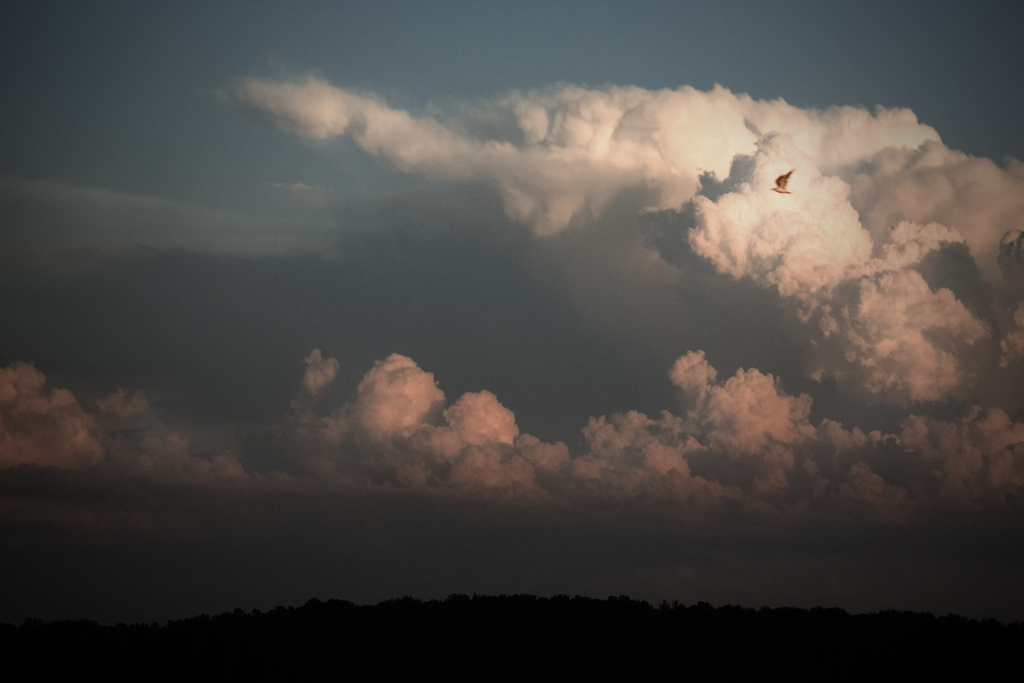 Name:  4913310901_98e2a5ba0f_b.jpg
Views: 576
Size:  166.1 KB