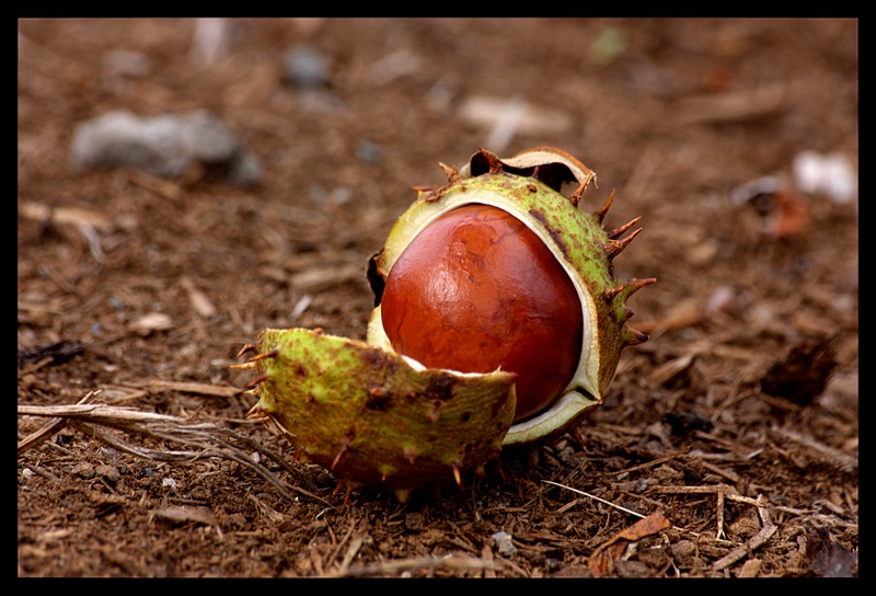 Name:  IMG_2583_edited.jpg
Views: 467
Size:  168.6 KB