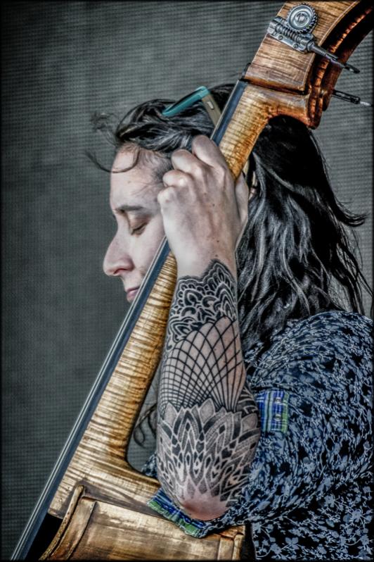 Name:  Standup Bass 01b-1.jpg
Views: 457
Size:  89.7 KB
