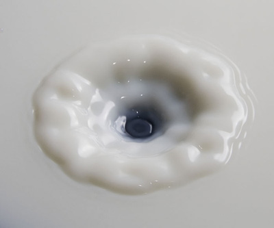 Fleur De Lait