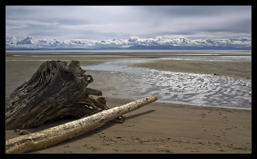 Driftwood and clouds by Michaelaw