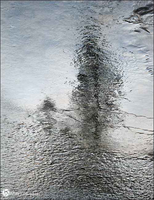 Icy Tree Reflection at Waterfowl Lake, Banff National Park, Alberta by Marko Kulik