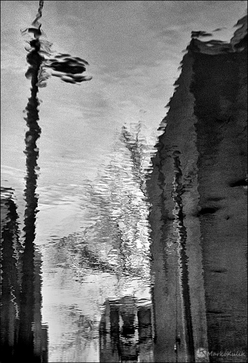 Puddle Reflection by Marko Kulik