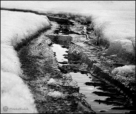 Snow Tracks - Marko Kulik