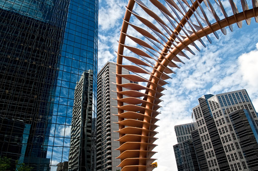 Calgary Cityscape by Jacqueline A. Sheen