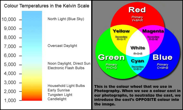 Colors and color temperature in photography