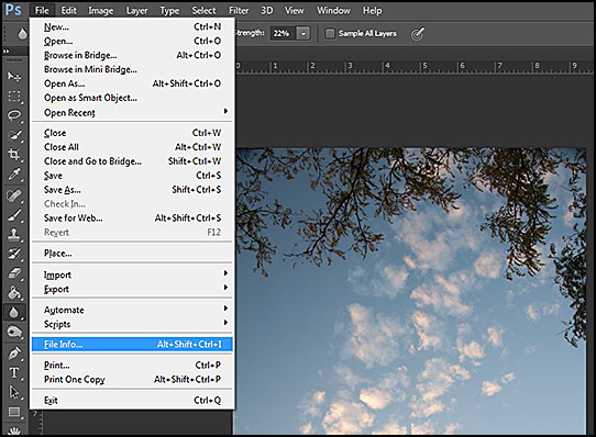 How to find exposure or exif data in Photoshop 