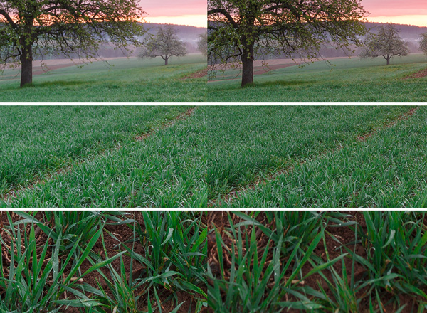 Kraichgau at Dawn - Close up comparison by Michael Breitung