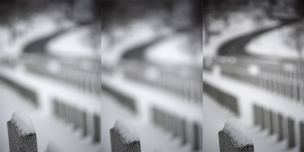 Left image had no defocus. Middle Image had background defocused to f/4 but aperture was f/2.0. The image at right was shot with the 105 Macro lens at f/2.8 its widest aperture - Click to enlarge.