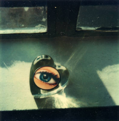 André Kertész  - Polaroid - August 13, 1979