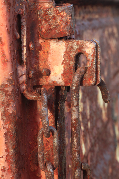 Artful Rust image by Bryan Davies