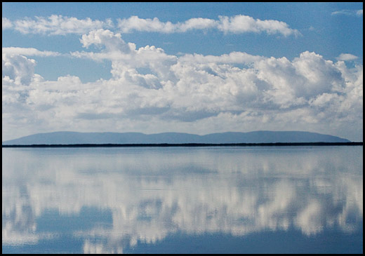 Calm image from a moving bus :)