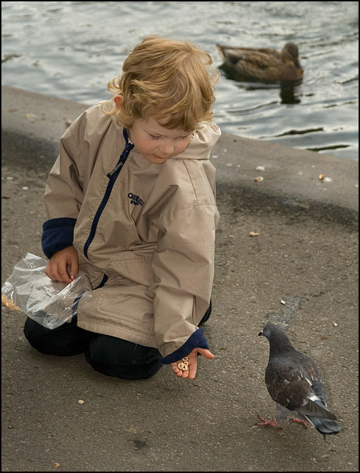 Pigeon Kid