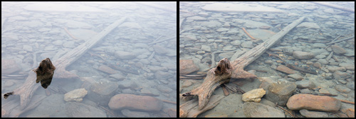 The effect of a polarizer on its own. Left - No polarizing filter. Right - The circular polarizing filter lets you see through the water by eliminating the waters reflectivity.