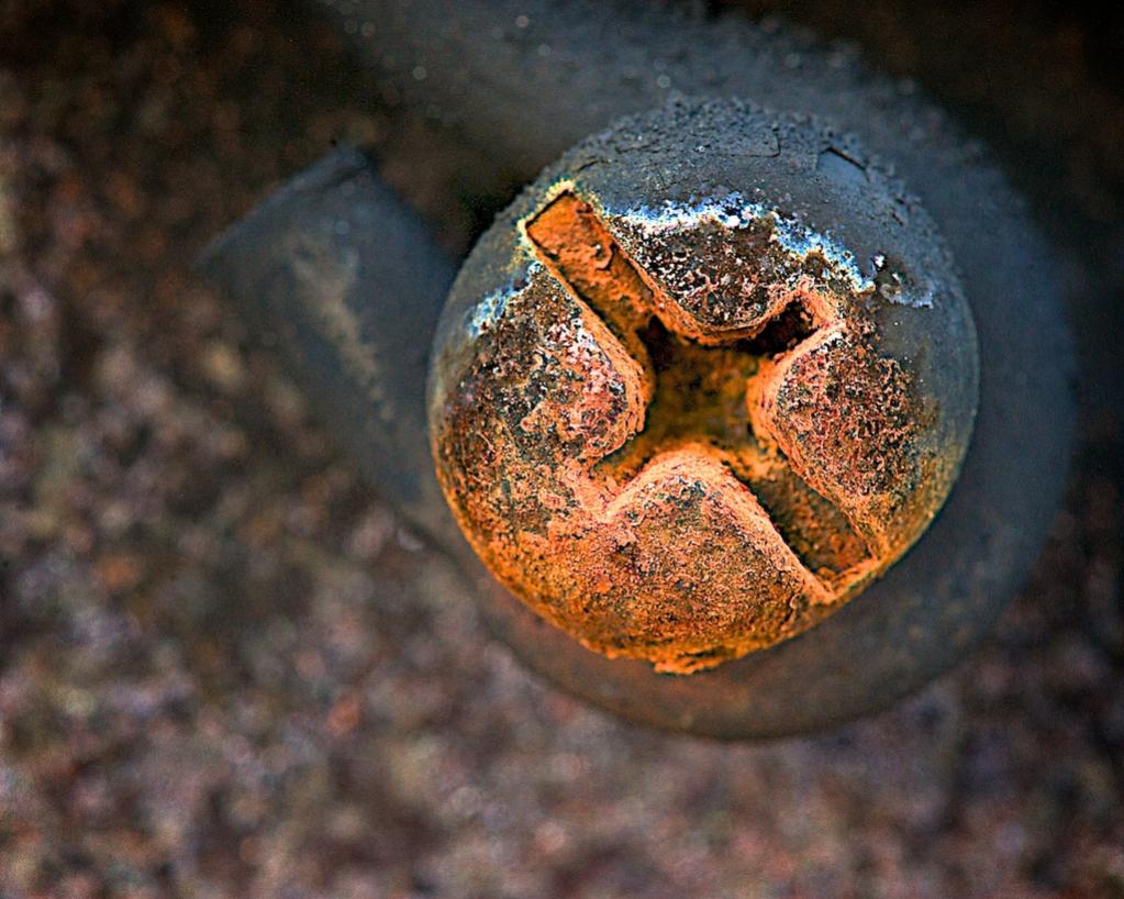 June 2012 - f16 or smaller- Shooting with a small aperture - Page 2