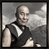 Tibetan portrait - Tenzin Gyatso - Dharamsala, India