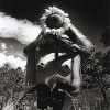 Sunflower Song - 1992