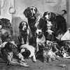 William Notman Group of dogs for Mr. Sandham, composite, QC, 1875