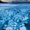 NMP8953 - Abraham Lake and Elliot Peak