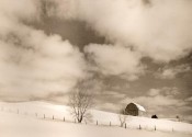 Photo: Winter Sky by Vicki Reed
